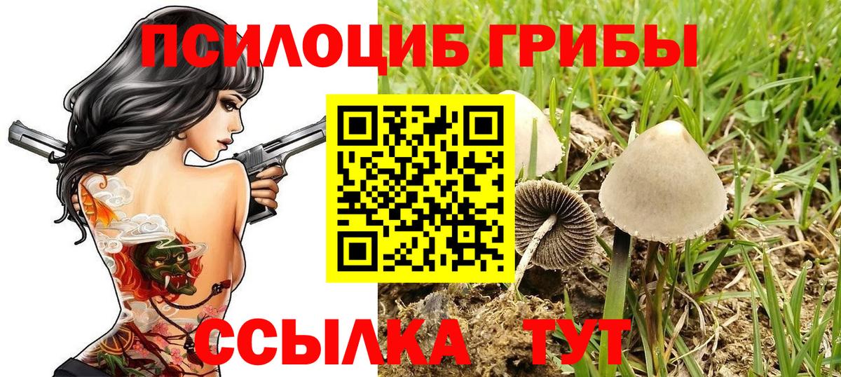 Псилоцибиновые грибы прущие грибы Кулебаки