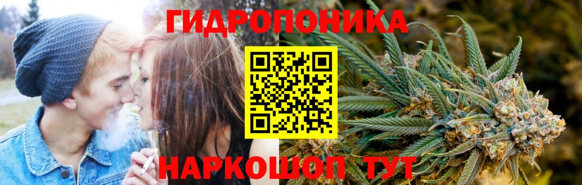 МАРИХУАНА ГИДРОПОН Кулебаки